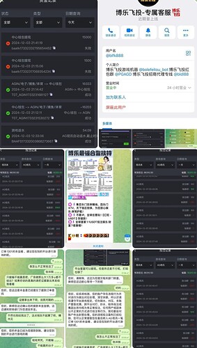 截屏2024-12-05 下午9.13.16