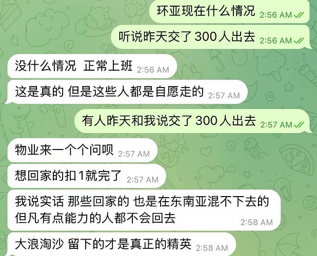 IMAGE 2025-10-26 16:51:03