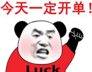 IMAGE 2025-10-13 15:14:16